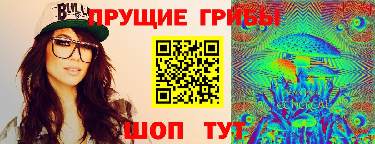 А ПВП Кировск