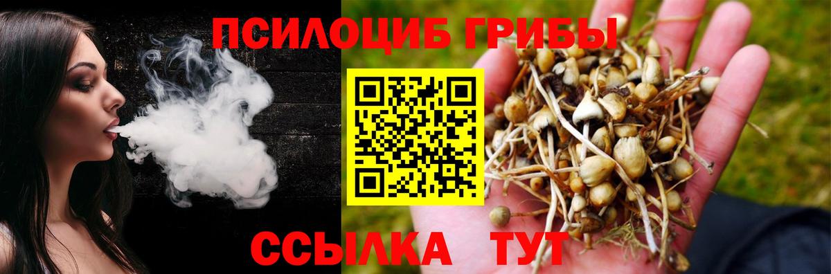 Галлюциногенные грибы Psilocybine cubensis  Вход с VPN  Кировск  Псилоцибиновые грибы GOLDEN TEACHER 